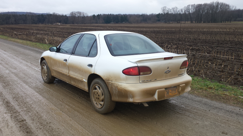 Illustration for article titled Rally Cavalier!